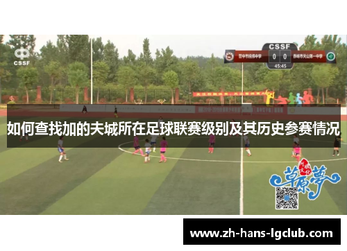 如何查找加的夫城所在足球联赛级别及其历史参赛情况